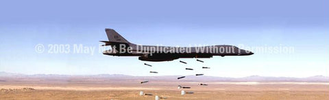 Window Graphic - 16x54 B1B Bomber