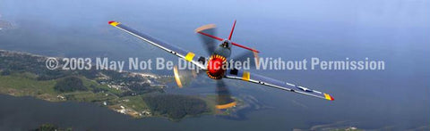 Window Graphic - 16x54 P-51 Mustang