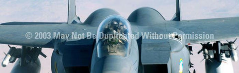 Window Graphic - 20x65 Strike Eagle Canopy