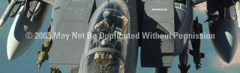 Window Graphic - 20x65 Strike Eagle Canopy 2