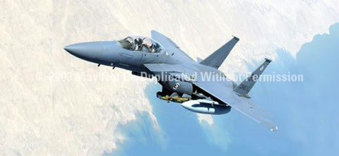 Window Graphic - 30x65 Strike Eagle