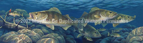 Window Graphic - 20x65 Walleye