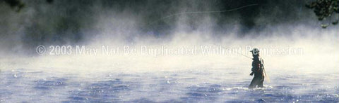 Window Graphic - 20x65 Into The Mist