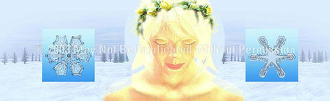 Window Graphic - 20x65 Christmas Woman