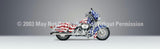 Window Graphic - 16x54 Patriot