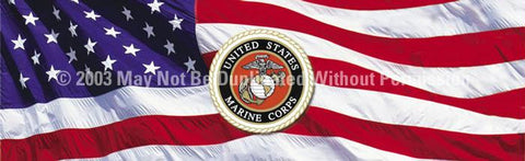 Window Graphic - 20x65 U.S. Marines 2