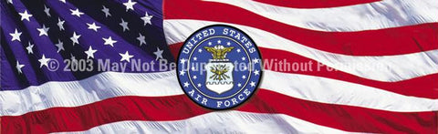 Window Graphic - 16x54 U.S. Air Force