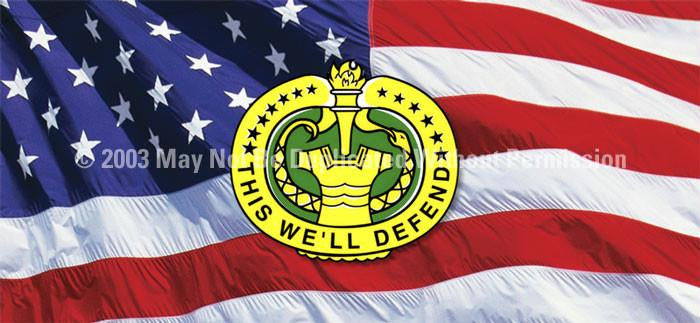 Window Graphic - 30x65 This We will Defend