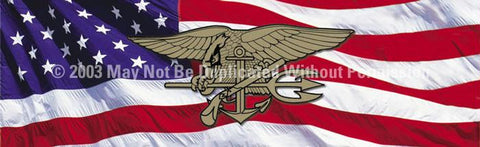 Window Graphic - 20x65 U.S. Navy Seals