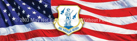 Window Graphic - 16x54 Air National Guard