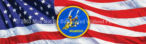 Window Graphic - 20x65 Seabees