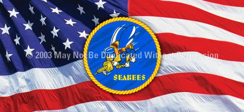 Window Graphic - 30x65 Seabees