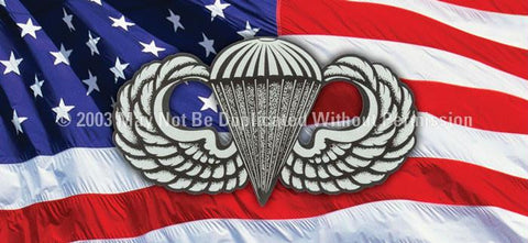 Window Graphic - 30x65 Parachutist Jump Wings