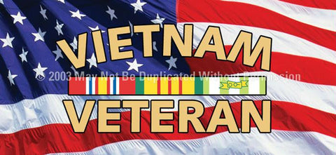 Window Graphic - 30x65 Vietnam Veteran