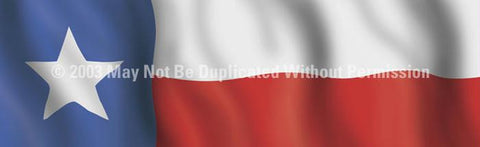 Window Graphic - 16x54 Texas Flag