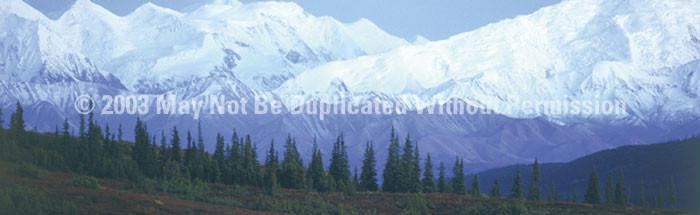 Window Graphic - 16x54 Mountains