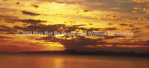 Window Graphic - 30x65 Sunset