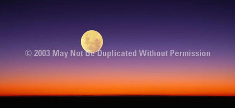 Window Graphic - 30x65 Full Moon Arising