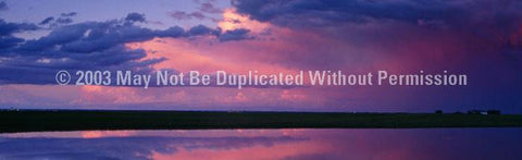 Window Graphic - 20x65 Pink Sunset