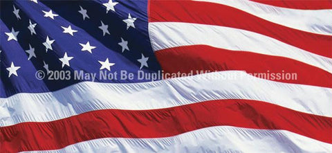 Window Graphic - 30x65 US Flag 2