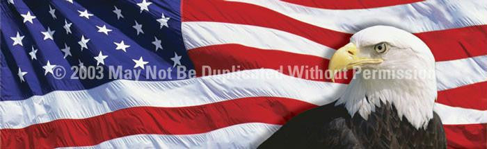 Window Graphic - 16x54 US Flag 2 with Eagle