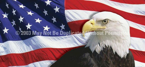 Window Graphic - 30x65 US Flag 2 with Eagle