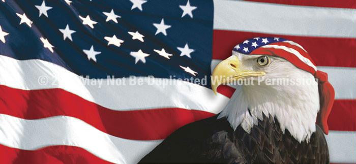 Window Graphic - 30x65 US Flag 1 with Eagle & Bandana