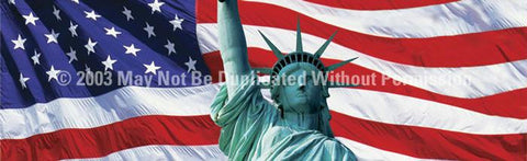 Window Graphic - 16x54 US Flag 2 with Lady Liberty