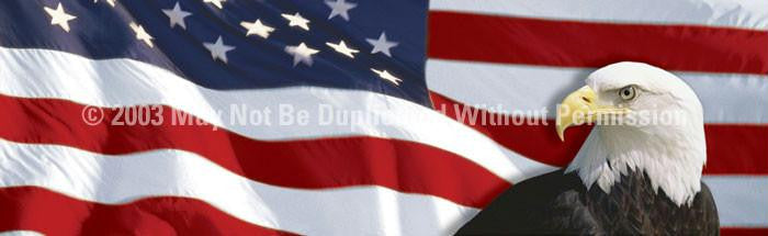 Window Graphic - 20x65 US Flag 1 with Eagle for Slider Windows