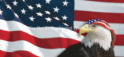 Window Graphic - 30x65 US Flag 1 with Eagle & Bandana for Slider Windows