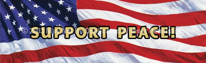 Window Graphic - 16x54 US Flag 2 Support Peace