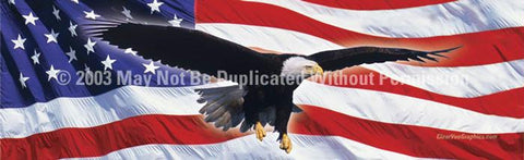 Window Graphic - 16x54 Eagle in Flight Flag