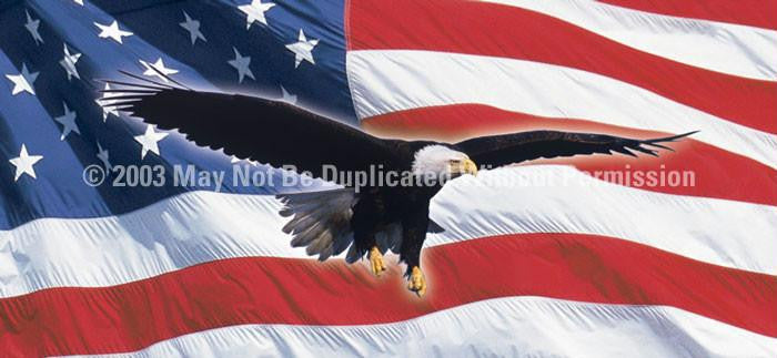 Window Graphic - 30x65 Eagle in Flight Flag