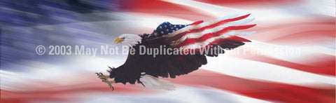 Window Graphic - 20x65 Wings of Freedom Flag