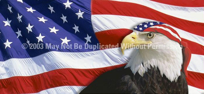 Window Graphic - 30x65 US Flag 2 with Eagle & Bandana