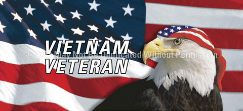 Window Graphic - 30x65 Vietnam Veteran