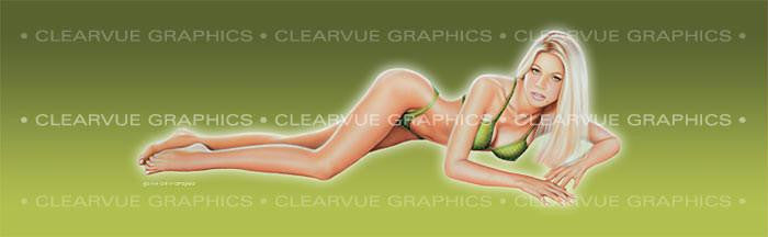 Window Graphic - 16x54 Pin-up Allison