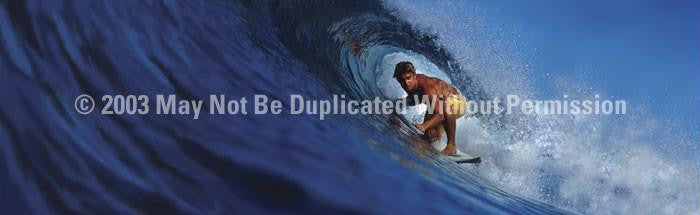 Window Graphic - 16x54 Surferotic