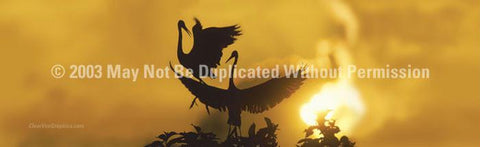 Window Graphic - 16x54 Heron Sunset