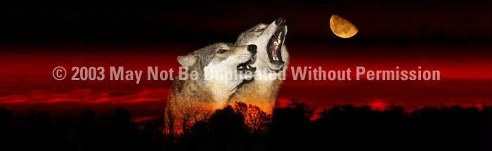 Window Graphic - 16x54 Alpha Male Howl