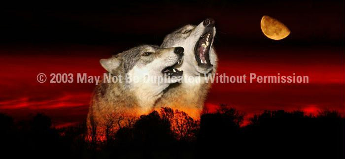 Window Graphic - 30x65 Alpha Male Howl