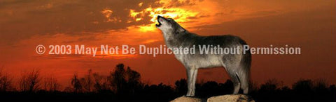 Window Graphic - 16x54 Howling at Sunset