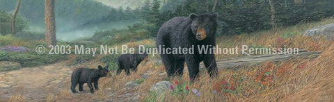 Window Graphic - 16x54 Bearly Climbing